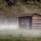 low mist